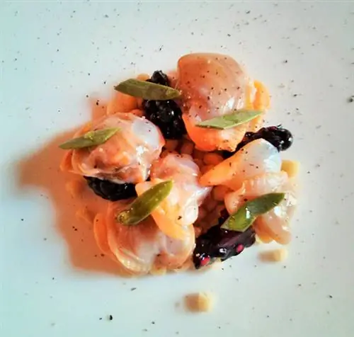 Копченые моллюски с сосной, морским фенхелем, кедровыми орешками ежевики и перцем