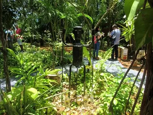 Сад дома Рио Вермельо