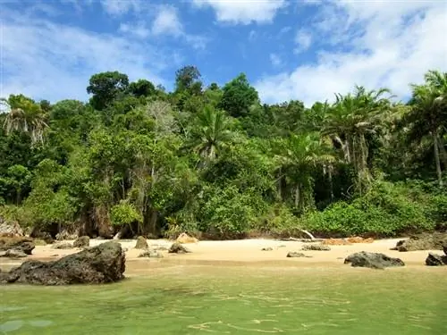 Одинокая бухта на пути к пляжу Гамбоа в Морро-де-Сан-Паулу.