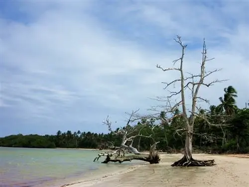 Прайя-ду-Энканто, Морро-де-Сан-Паулу