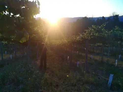 Вино, сельский отдых и местные жители в Кондадо-ду-Ти, Понтеведра