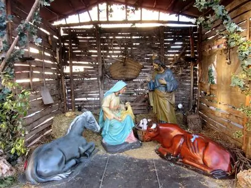 Парад трех волхвов в Алькое