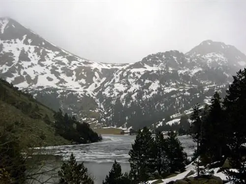 Эстани Илонг