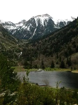 Эгестортес