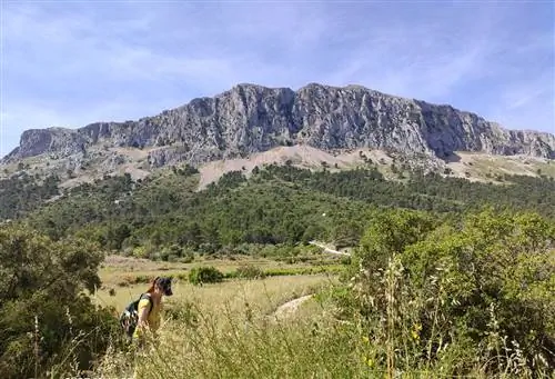 Круговой маршрут Сьерра-де-Берния Аликанте
