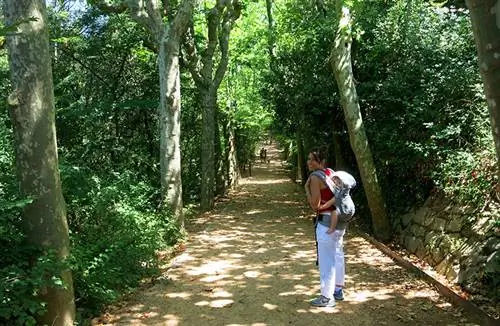 Начало экскурсии по фонтанам Кольсерола.