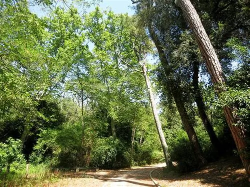 Прогулка по фонтанам парка Кольсерола