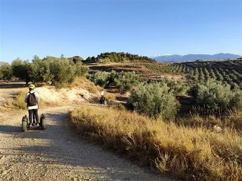 сигвей Гранада