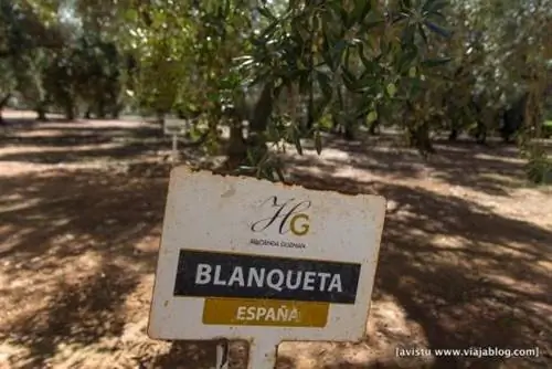 Нефтяной туризм Hacienda Guzmán Sevilla_-29 мин