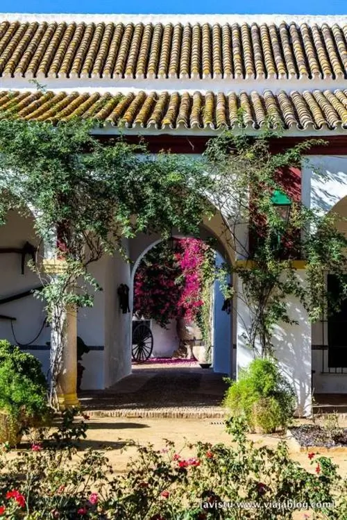 Нефтяной туризм Hacienda Guzmán Sevilla_-12 мин