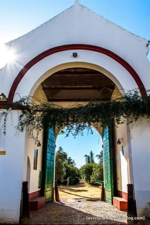 Нефтяной туризм Hacienda Guzmán Sevilla_-13 мин