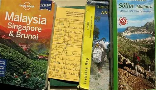 Какие вакцины наиболее важны для поездок за границу?