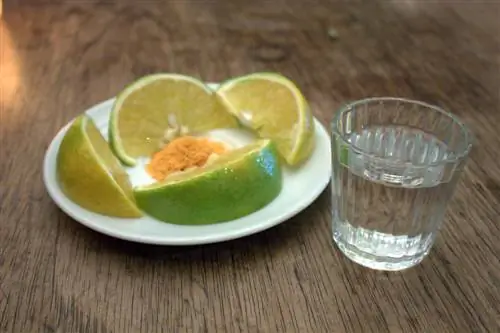 Шот мескаля, апельсина и червячной соли