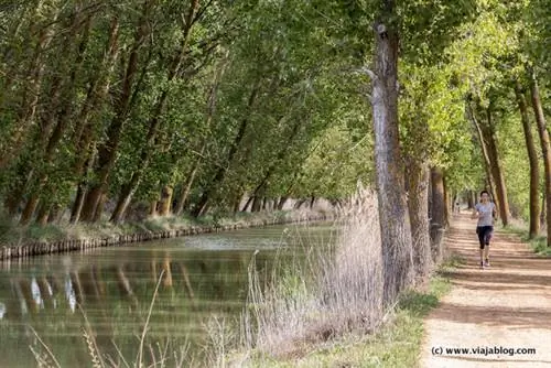 Канал де Кастилья Медина де Риосеко Вальядолид