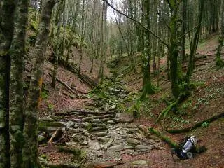 Дневниковые заметки перед дальней поездкой