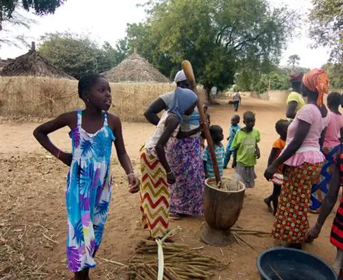 кускус-сенегал