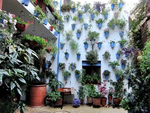 Патио-Кордоба-2