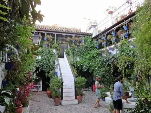 Кордоба-патио