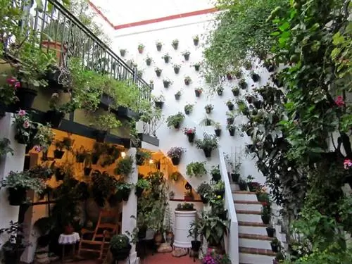 Патио-де-Кордова