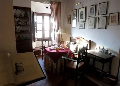 пятно тобосо