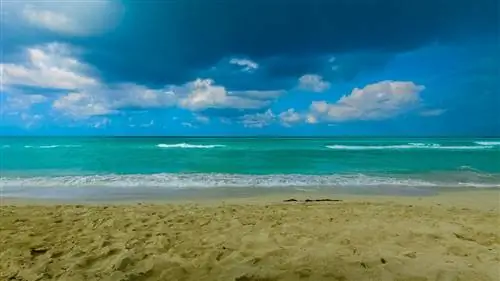 Как добраться из аэропорта Варадеро в Варадеро (и другие направления)