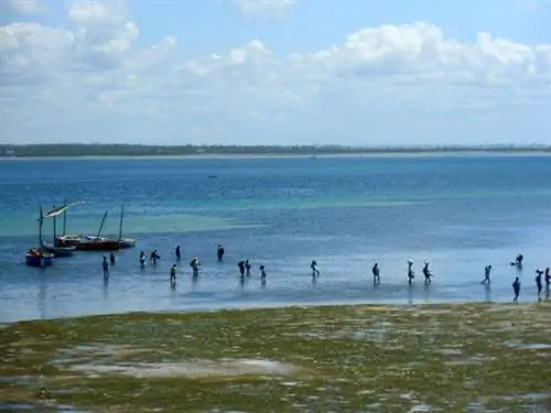 Рыбаки возвращаются на остров