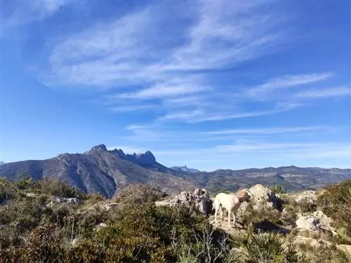 Виды на горный массив Берния в горном массиве Орта