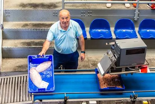 Рыбный аукцион на рынке Исла Кристина (Уэльва)