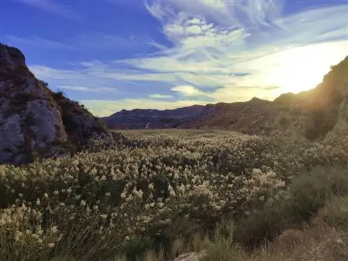 Водный маршрут Аспе, чем заняться на Пасху в Аликанте