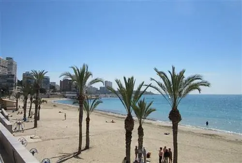 Альбуферета Аликанте