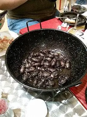 Сепионец