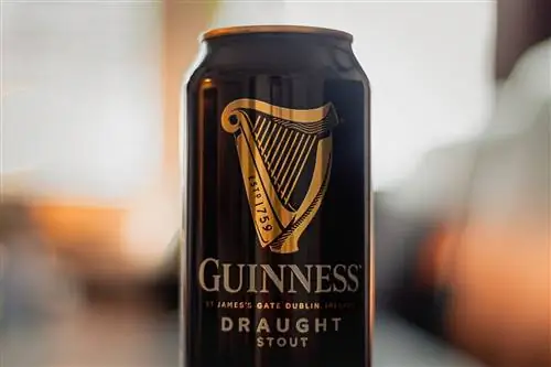 Посещение хранилища пива Guinness в Дублине