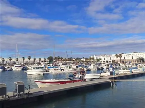 Болота острова Кристина