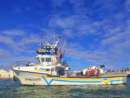 Открытие устья острова Кристина на лодке