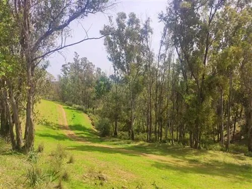 водный маршрут гильены