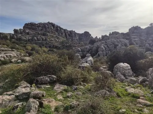 как посетить торкаль де антекера