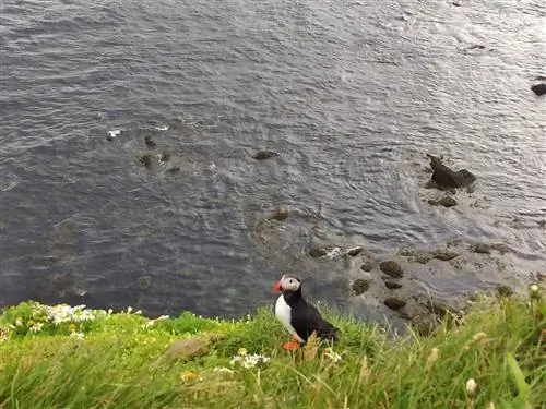 10 лучших мест, которые стоит увидеть на севере Исландии
