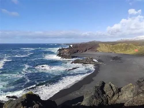 что посмотреть