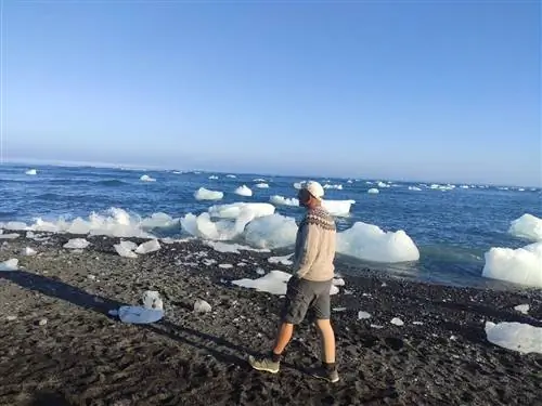 посещение Йокульсарлона