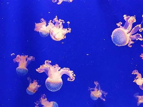 Научный парк Гранады