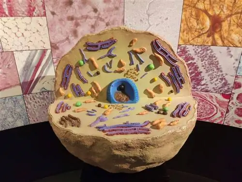 Научный парк Гранады