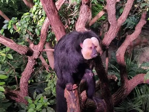 Научный парк Гранады