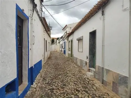 что посмотреть в силве