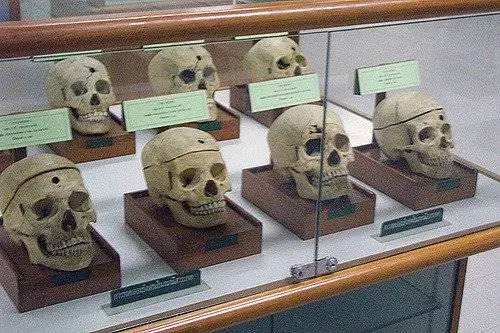 Музей судебной медицины, Бангкок, Таиланд