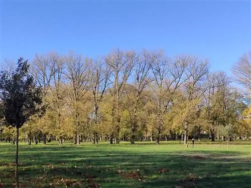 лучшие зеленые зоны в Бургосе