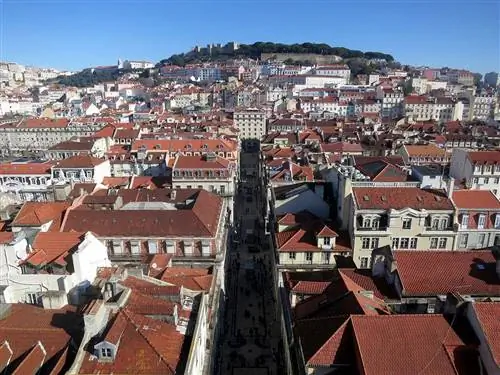 Точка зрения Лиссабона