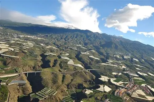 что посмотреть на юге Тенерифе