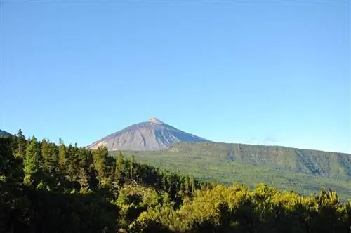 7 лучших мест на юге Тенерифе, которые стоит увидеть