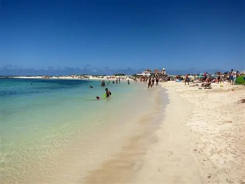 Как добраться из аэропорта Фуэртевентуры до пункта назначения на острове