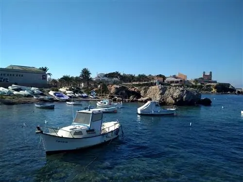 Как добраться на остров Табарка из Аликанте и Санта-Полы